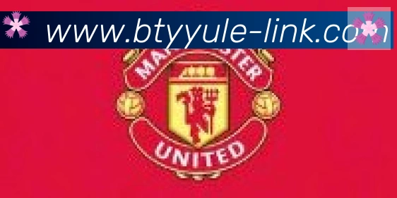 B体育官网合作伙伴
